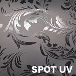Spot Uv 2