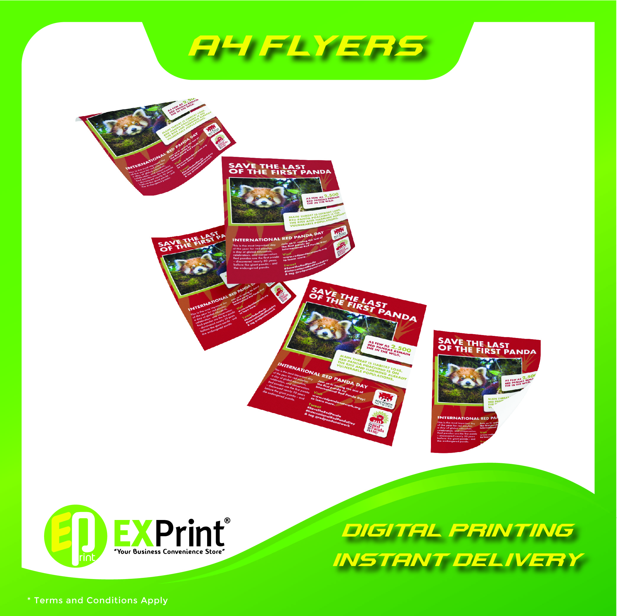 🟊 A4 FLYER