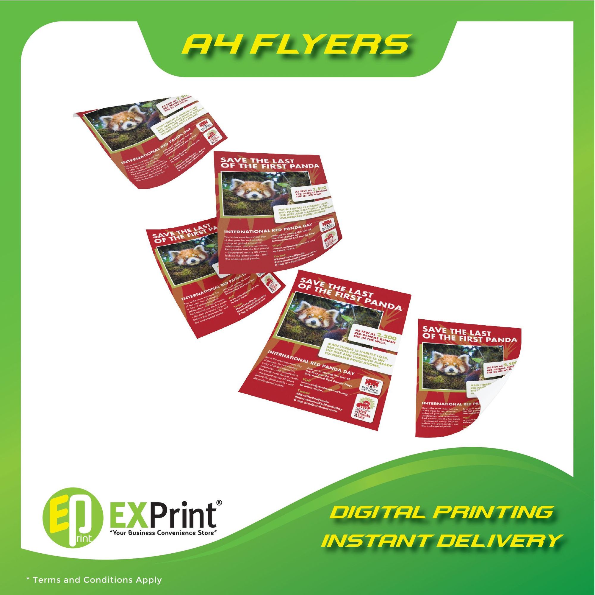 🟊 A4 FLYER 1