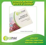 ✤ STANDARD NAME CARD 4