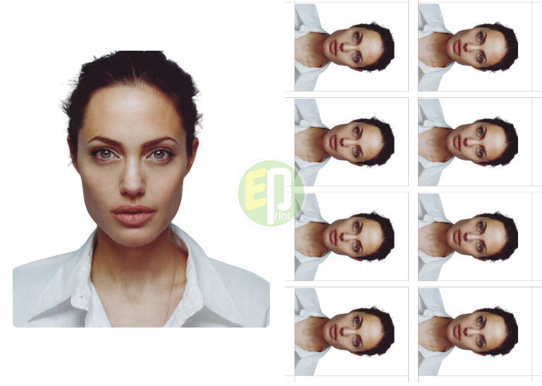 [D] VISA PHOTO PRINTING 2