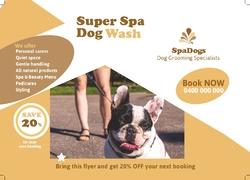 A6 Postcard, animals, pets, grooming, walking, pet care