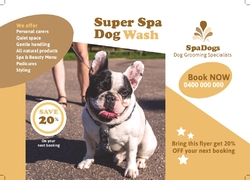 A6 Postcard, animals, pets, grooming, walking, pet, care