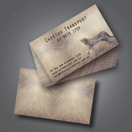 Standard Business Cards 2