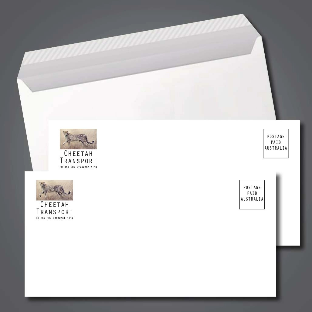Full Colour DLX Envelopes 2