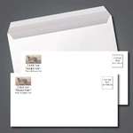 Full Colour DLX Envelopes 2
