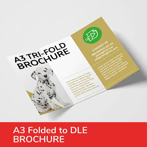 A3 Folded To DLE 5