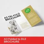 A3 Folded To DLE 5