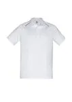 White/Silver
