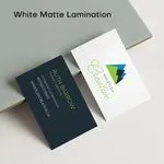 Speciality Business Cards (Premium) 7