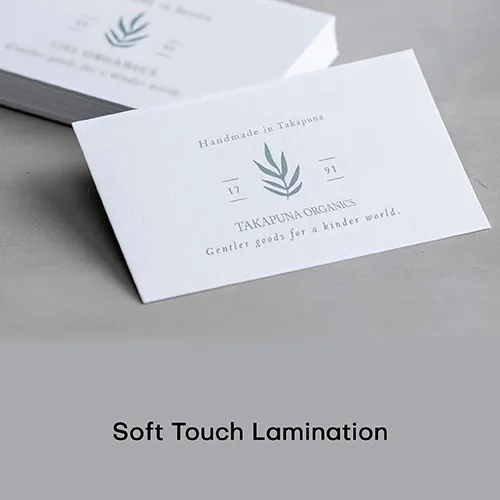 Speciality Business Cards (Premium) 9