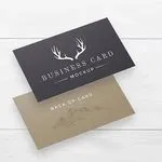 Economy Business Cards (Cheap) 5