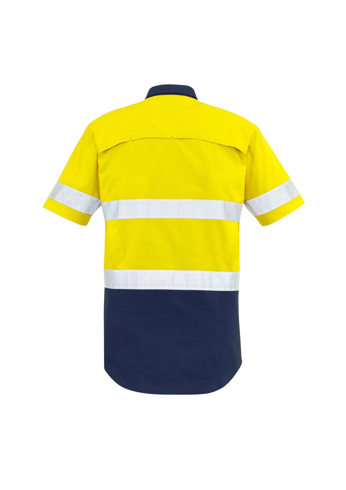 Yellow/Navy