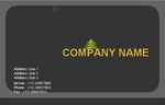 Finance-Business-card-2