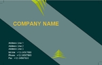 Finance-Business-card-1