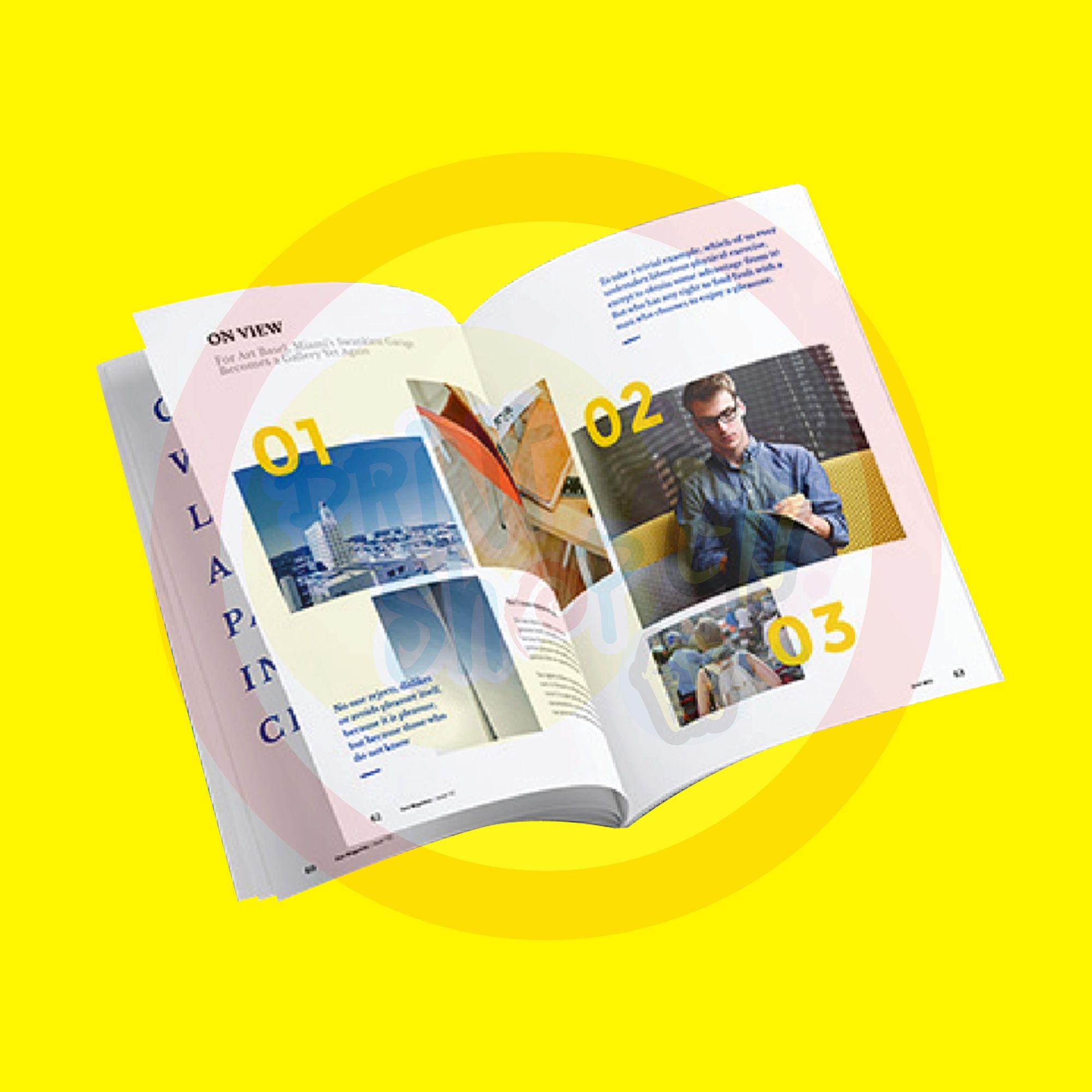 Colour Booklet (Offset Print)